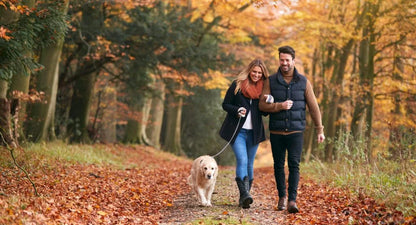 Cofton Holidays -