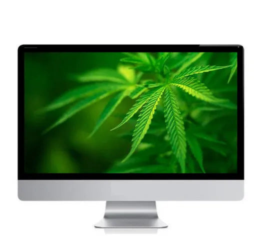 Cheap 21.5 Inch White Full HD LCD Display Home Office Barebone Laptop Core I3 8GB DDR4 RAM SSD Storage for Business Use